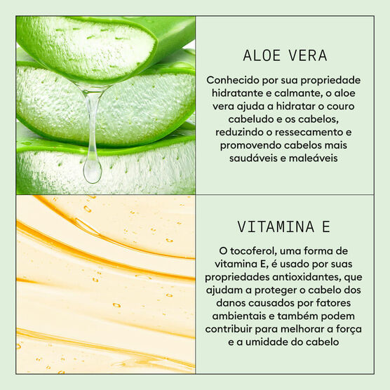 Shampoo Anticaspa Purificante para Couro Cabeludo Nioxin